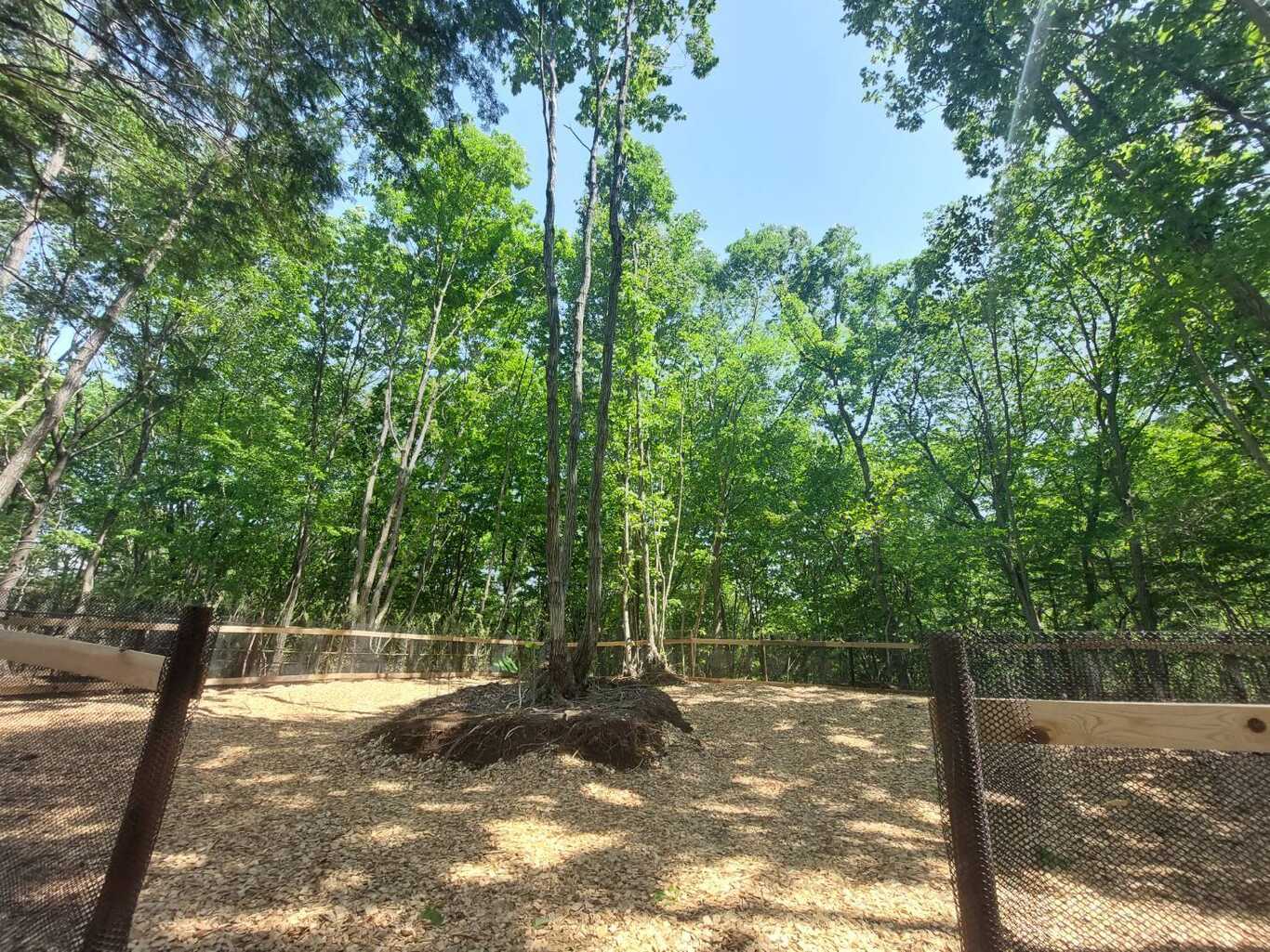 WoodPAL飛駒 オートキャンプ場