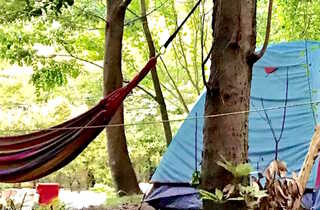 Forest Camp 南伊豆