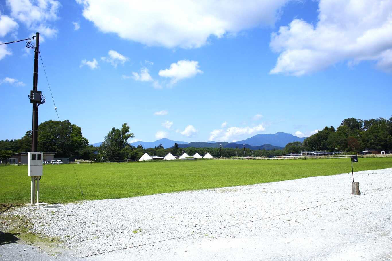 moss camp field photo 4