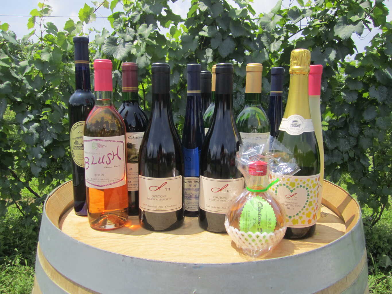 奥利根ワイナリー直営 Camp in the vineyards