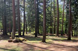 須砂渡キャンプ場