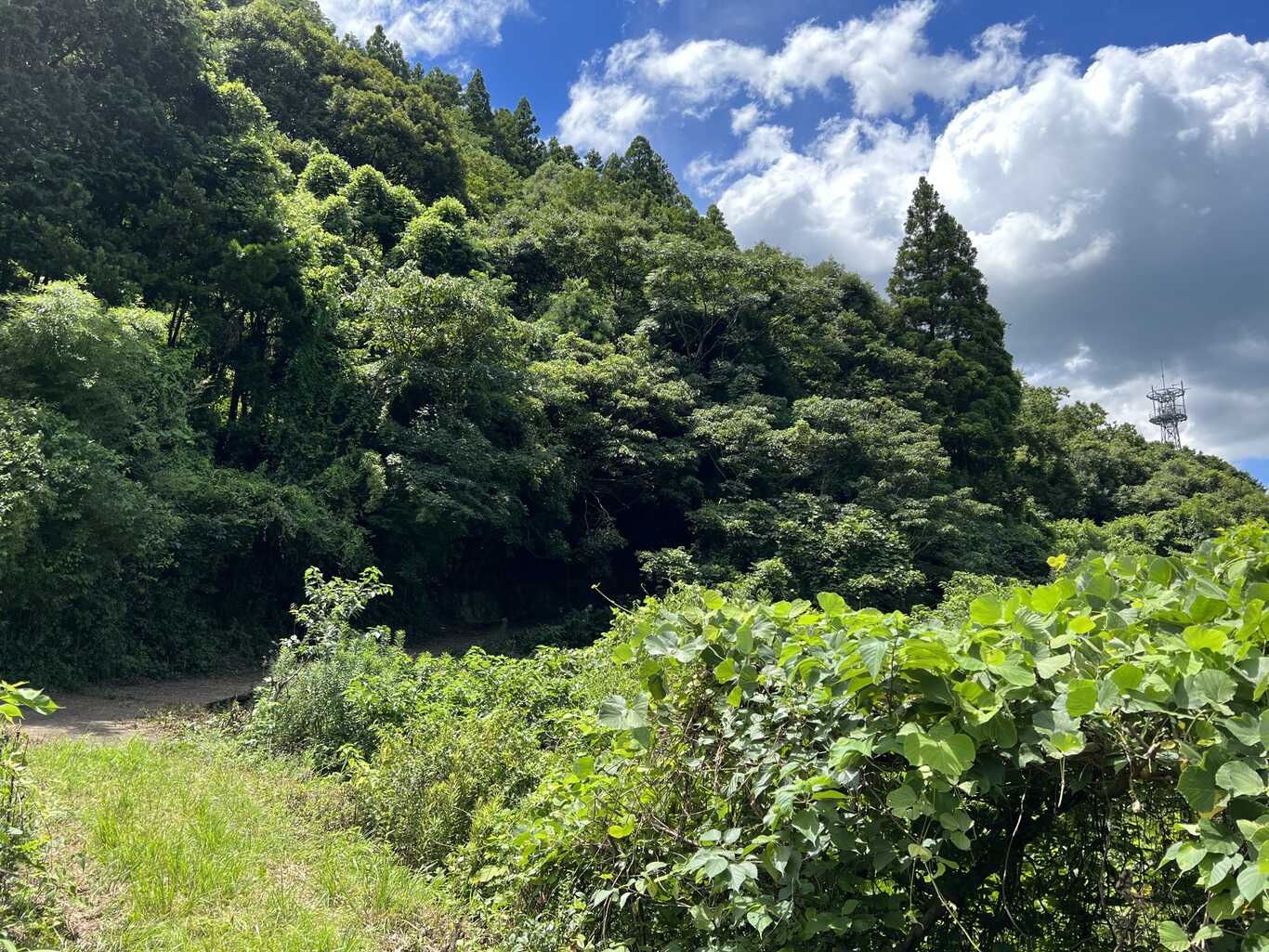 波佐見キャンプ場 by おしごとマウンテン photo 4