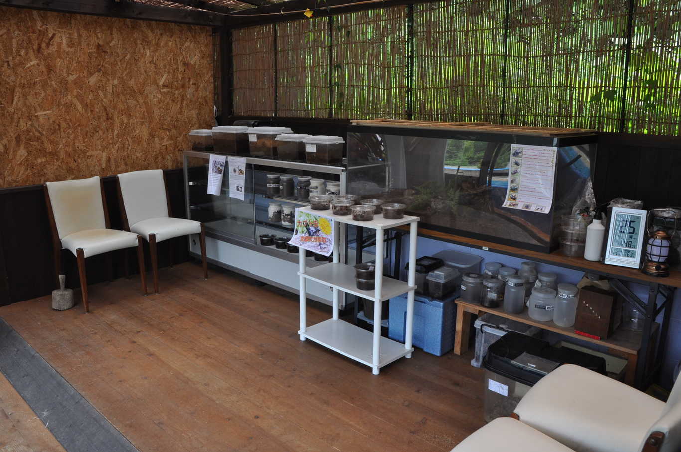 ライジングフィールド山家 photo 4