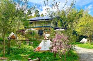 千葉フィンランドの森