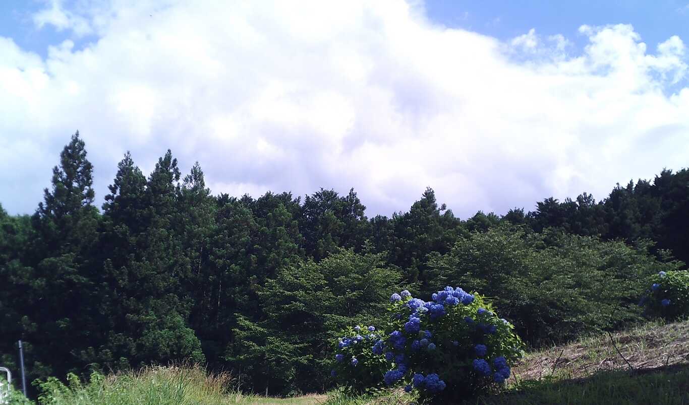 柏倉フィッシングパーク photo 3