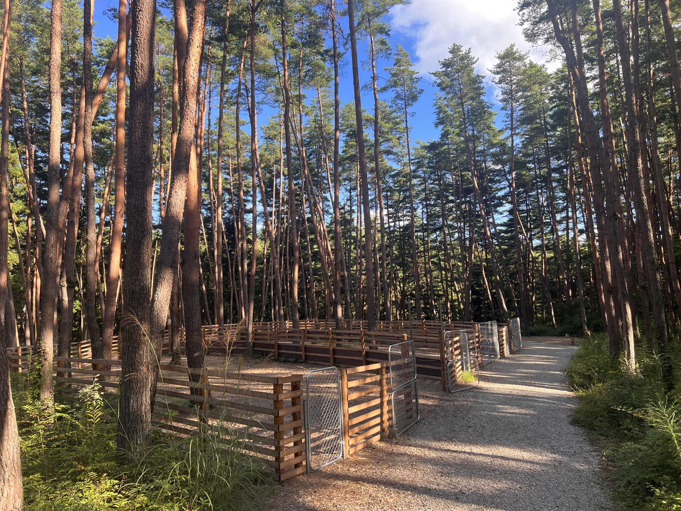 FOLKWOOD VILLAGE 八ヶ岳 photo 5