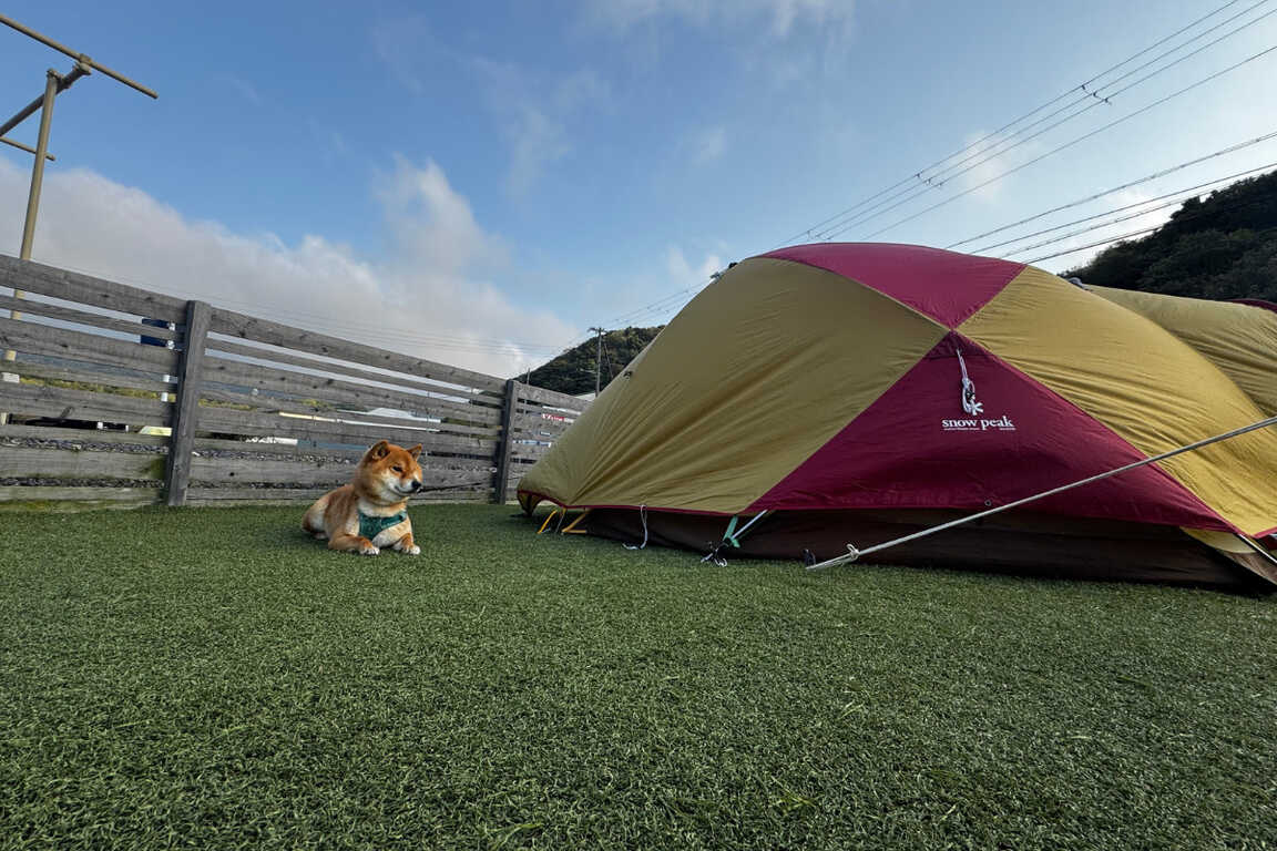 ワンともキャンプ場 photo 4