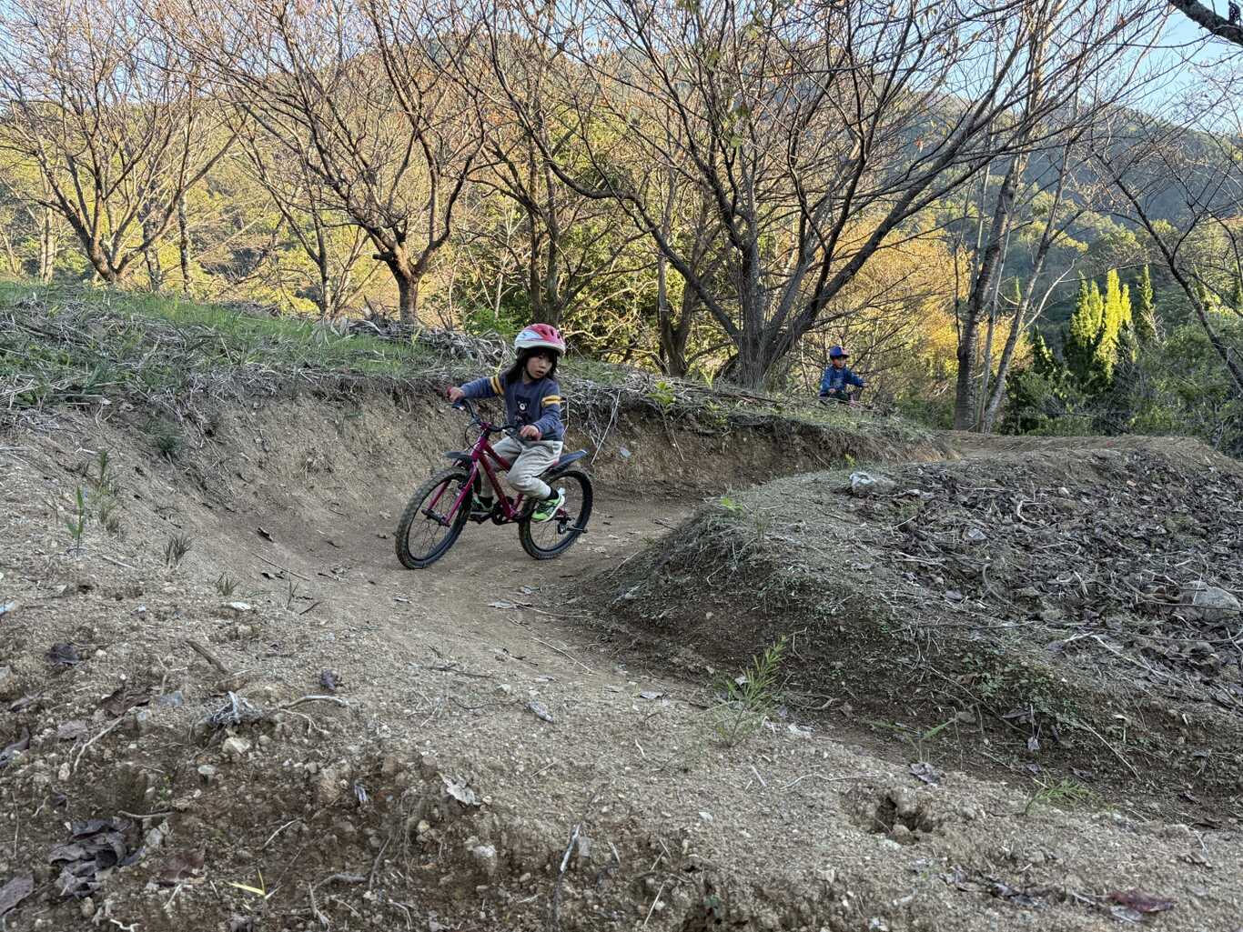 市川公園MTBフィールド photo 3