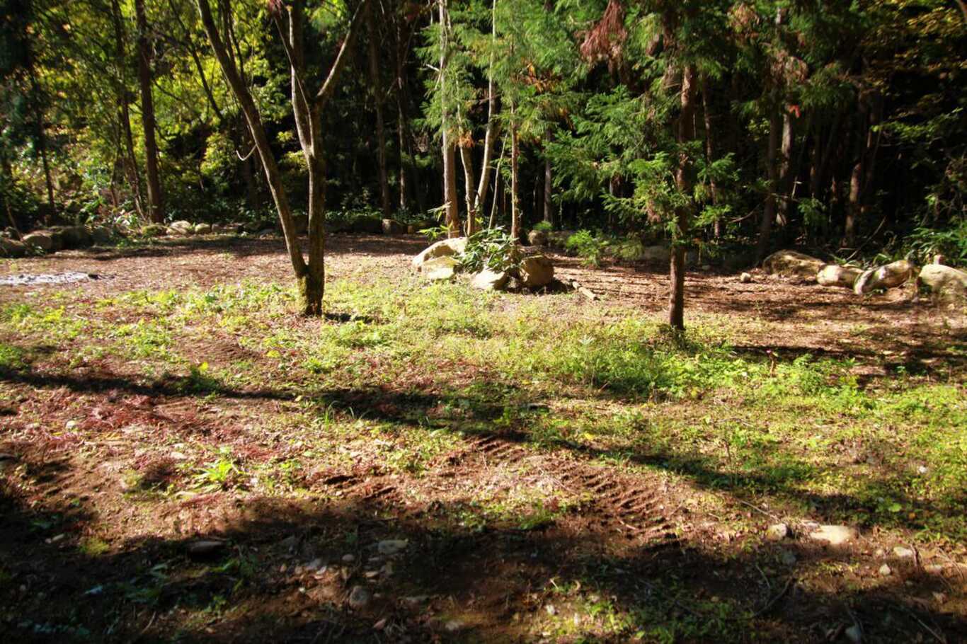 子安温泉キャンプ場 photo 3