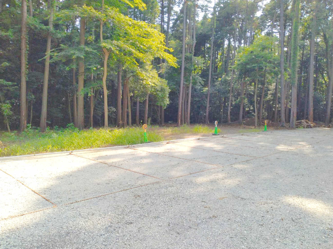 evergreen photo 5