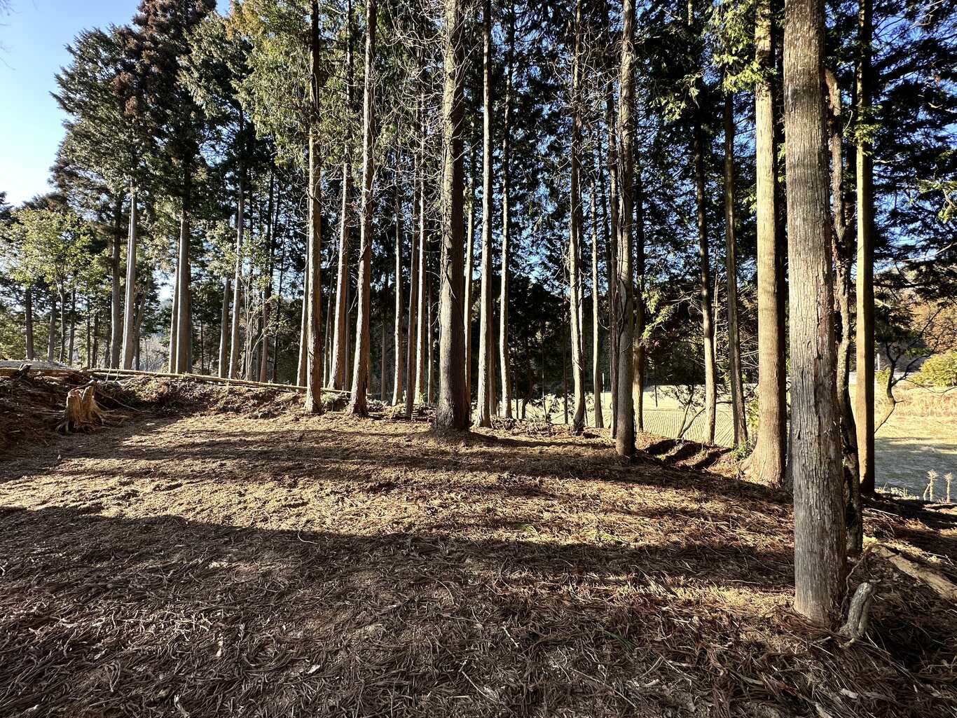 AWESOME CAMP HACHIMORI photo 3
