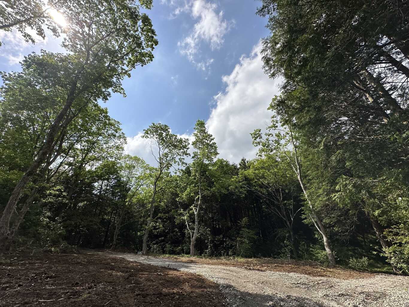 高原キャンプ場 樹庭夢 photo 3