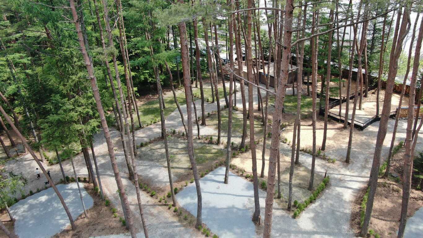 オートキャンプFUJICHU photo 4
