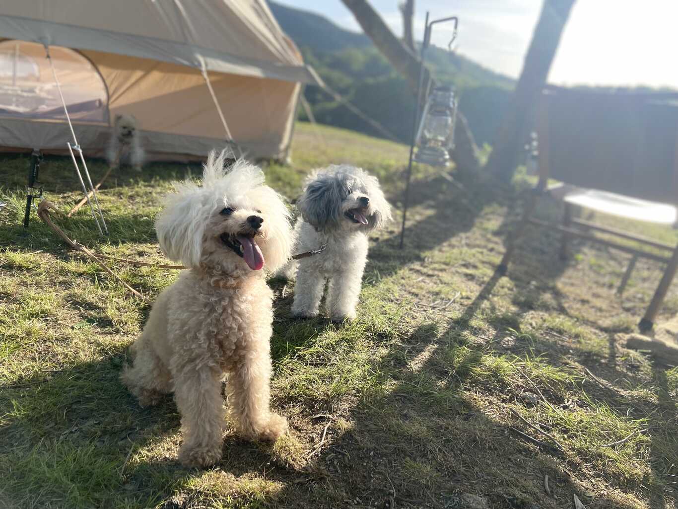 オートリゾートinはぎビレッジ photo 5