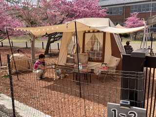 旧伊参中学校 伊参オートキャンプ場