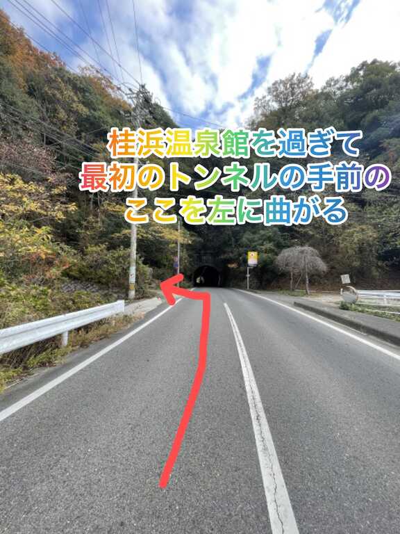ホシアカリ 山びこ photo 5
