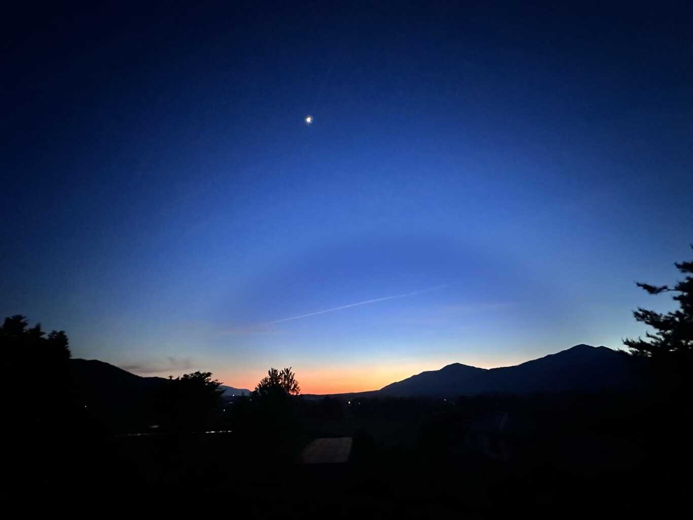 ぶりきのらいおん蒜山 photo 5