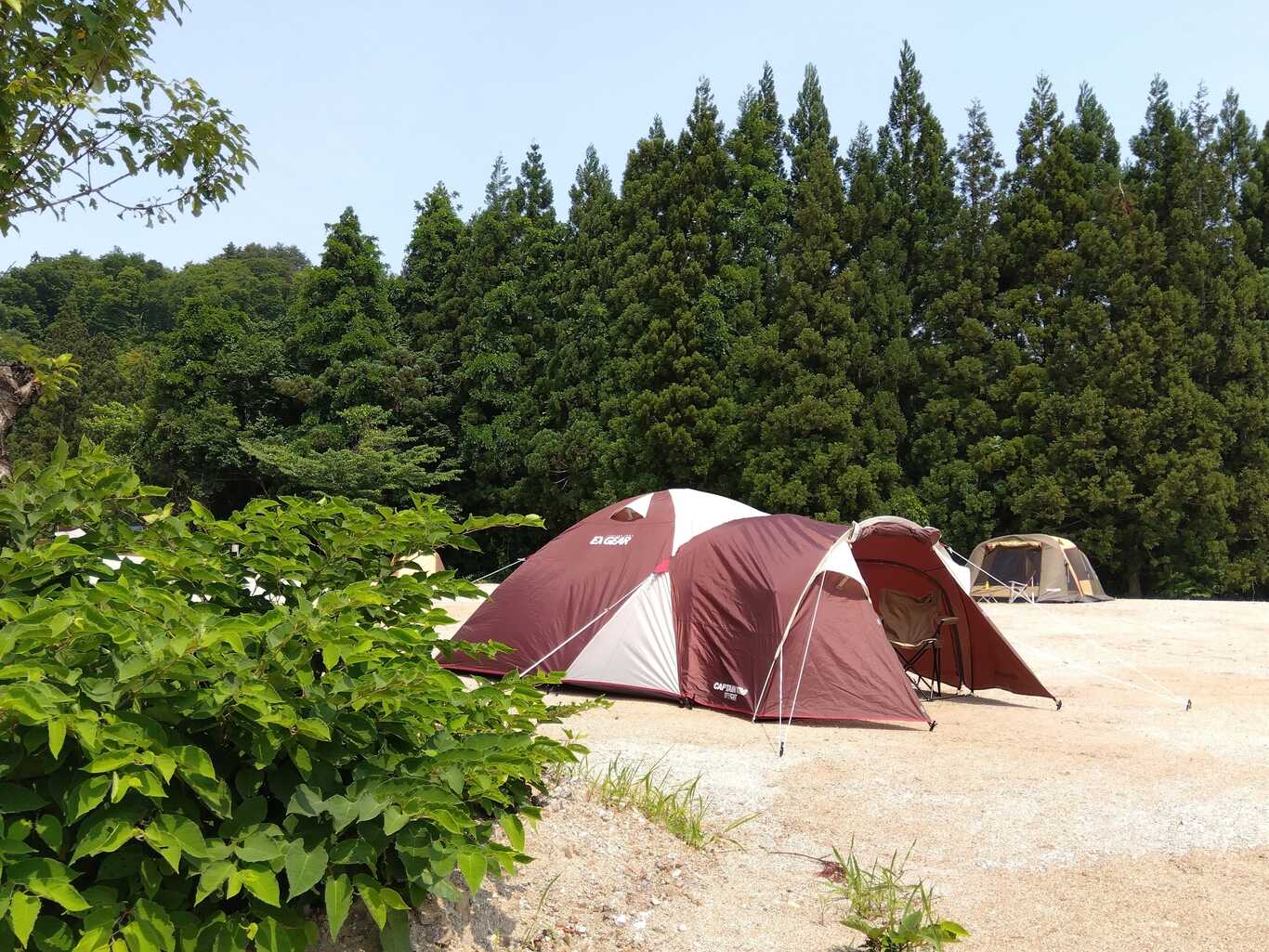 ながいピオニーの森 photo 4