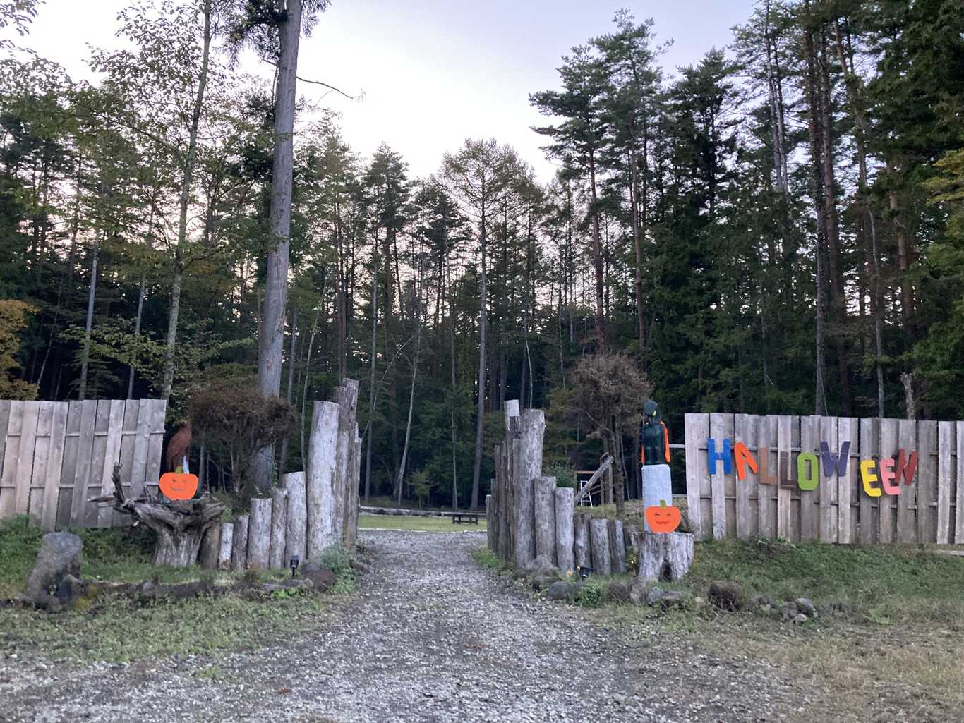 MINERVA FOREST