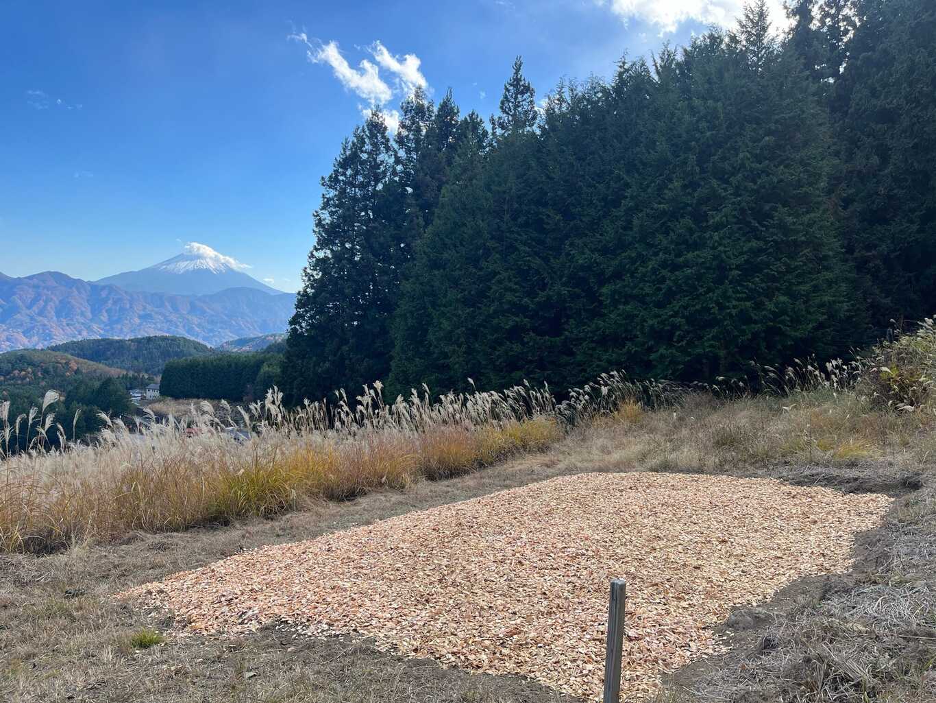 Hirabayashi Camping