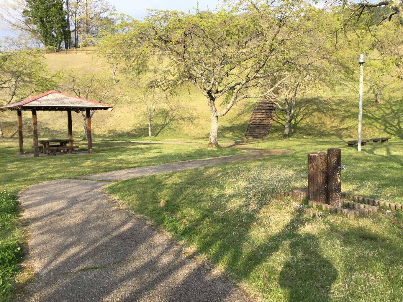 きじやでキャンプ photo 4