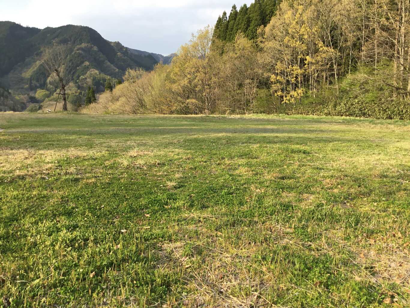 きじやでキャンプ
