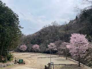 Fujioka BASE リバーサイド