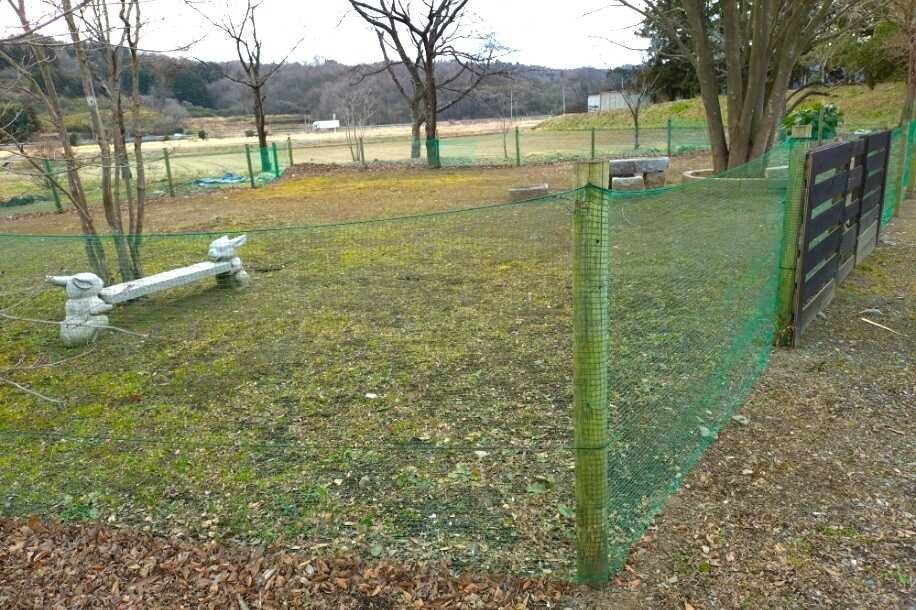 真田庭園キャンプ場 photo 4