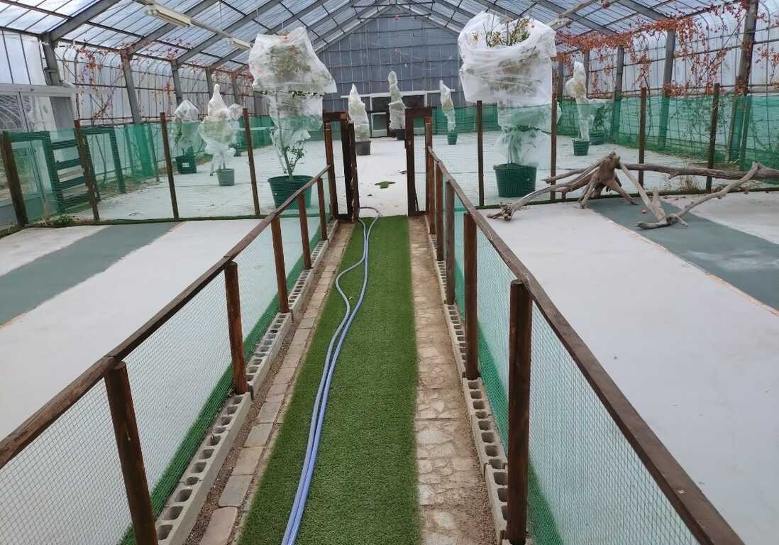真田庭園キャンプ場 photo 5