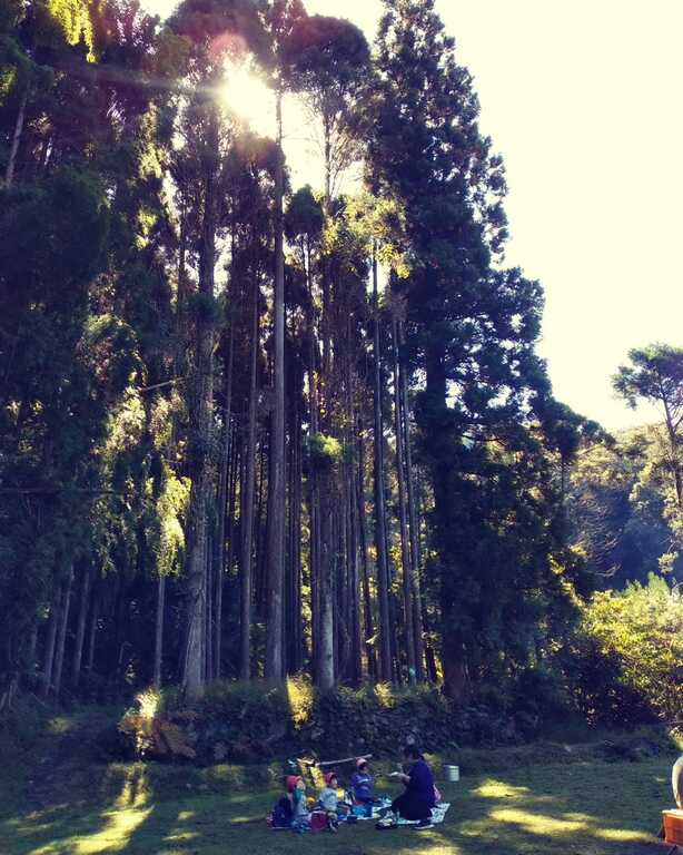 oono-camp photo 3
