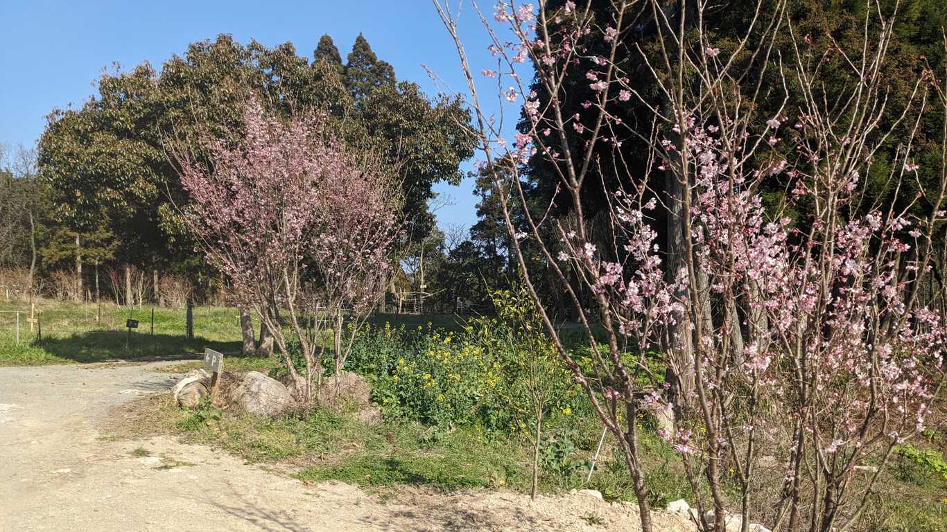 えころっじ杵築キャンプ場 photo 3