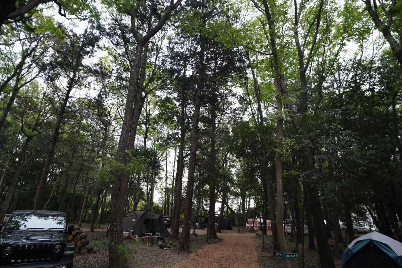 ALOHA GLAMPING RESORT photo 5