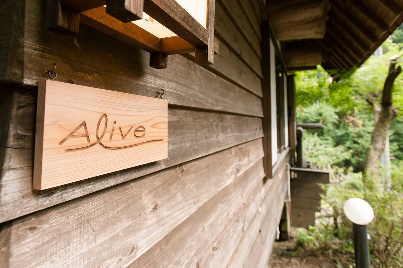 Alive サステナブルラボ飯能 photo 4