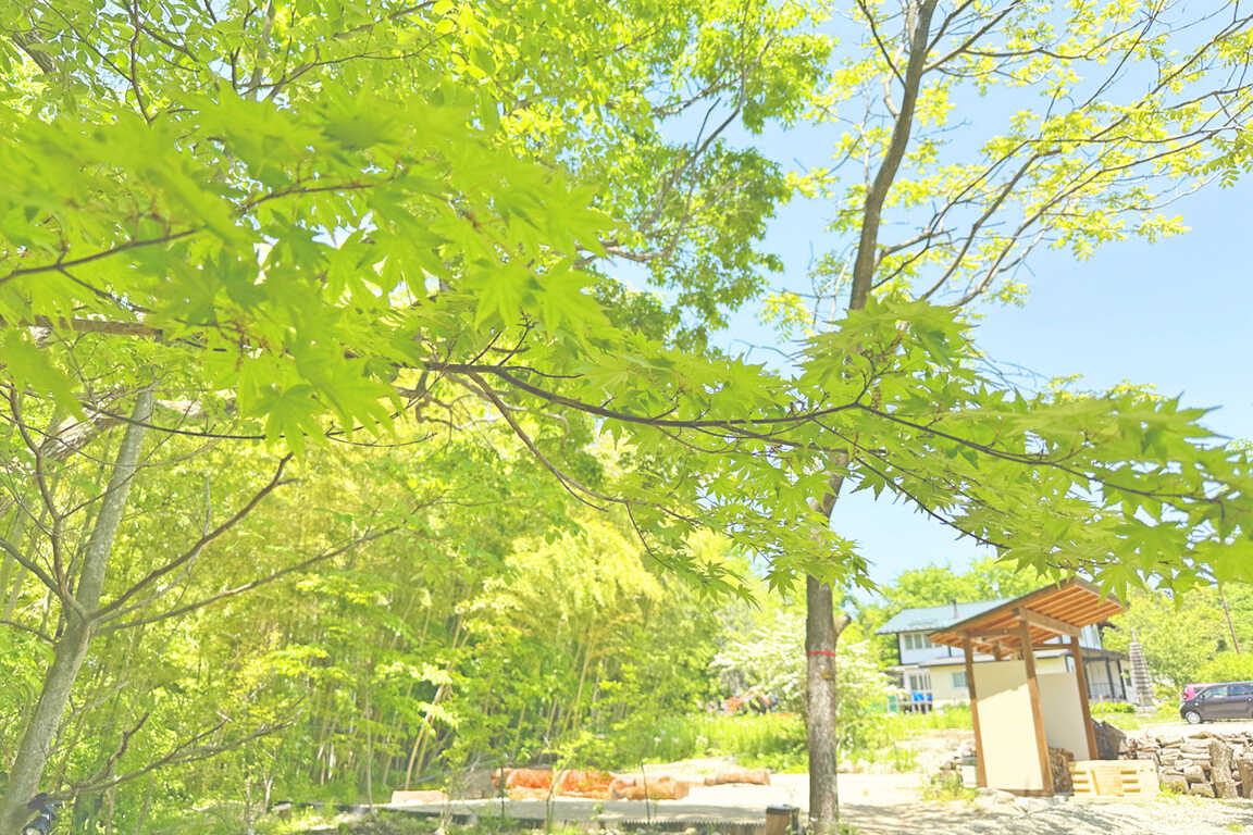 ストリーム photo 5
