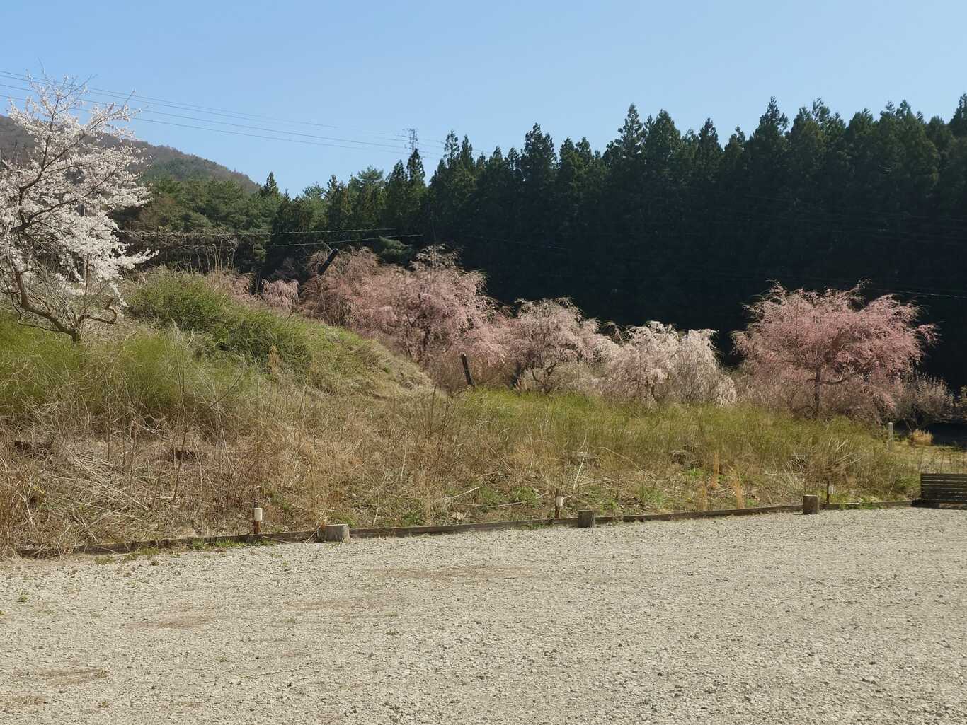 Camp Circle きずな photo 4