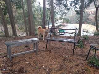 キチトクキャンプ場