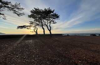 マーレオートキャンプベース|MARE AUTO CAMP BASE & RV PARK