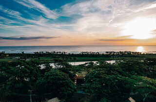 AOSHIMA PICNIC CLUB CAMP