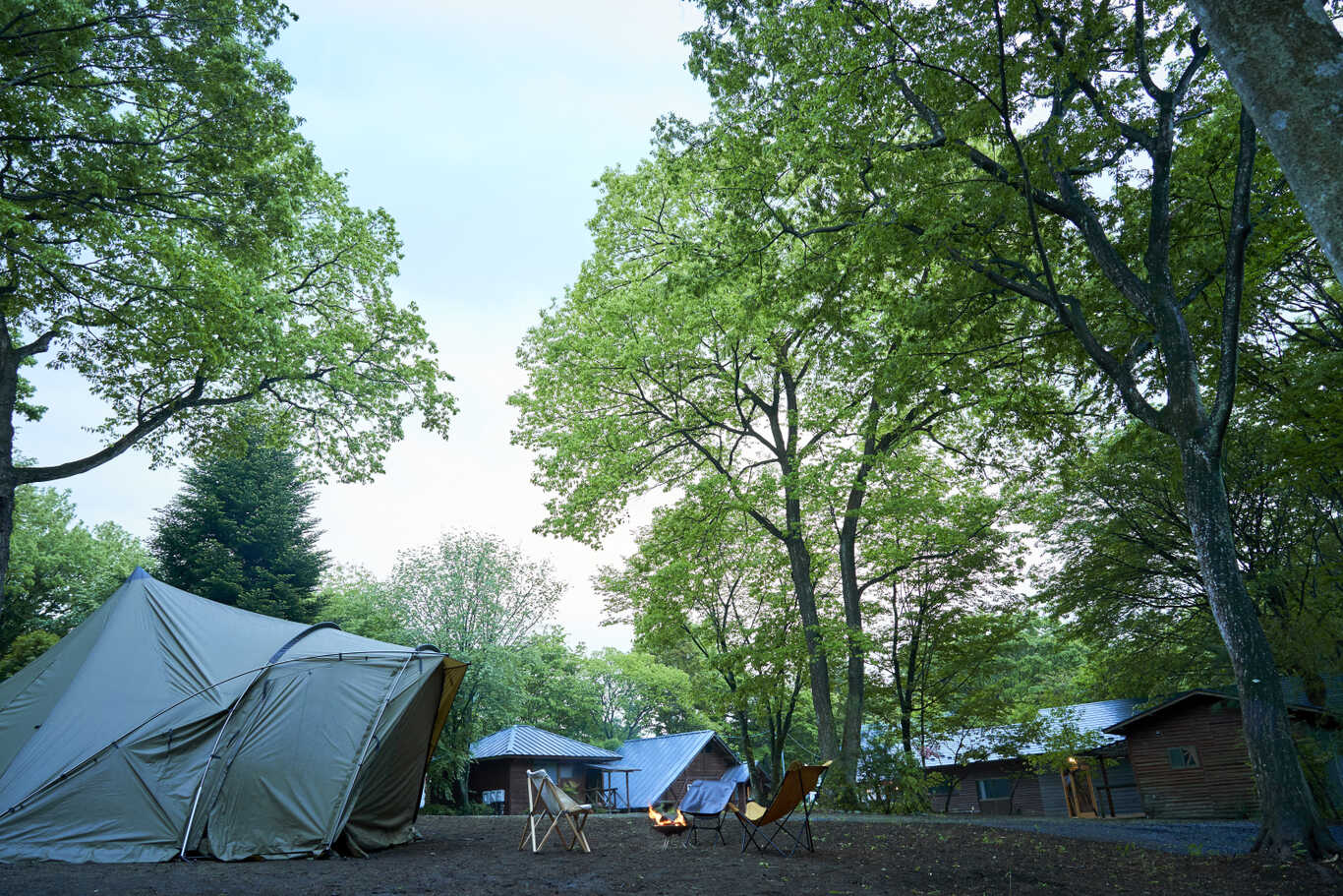 NASU SATOYAMA FIELD photo 4
