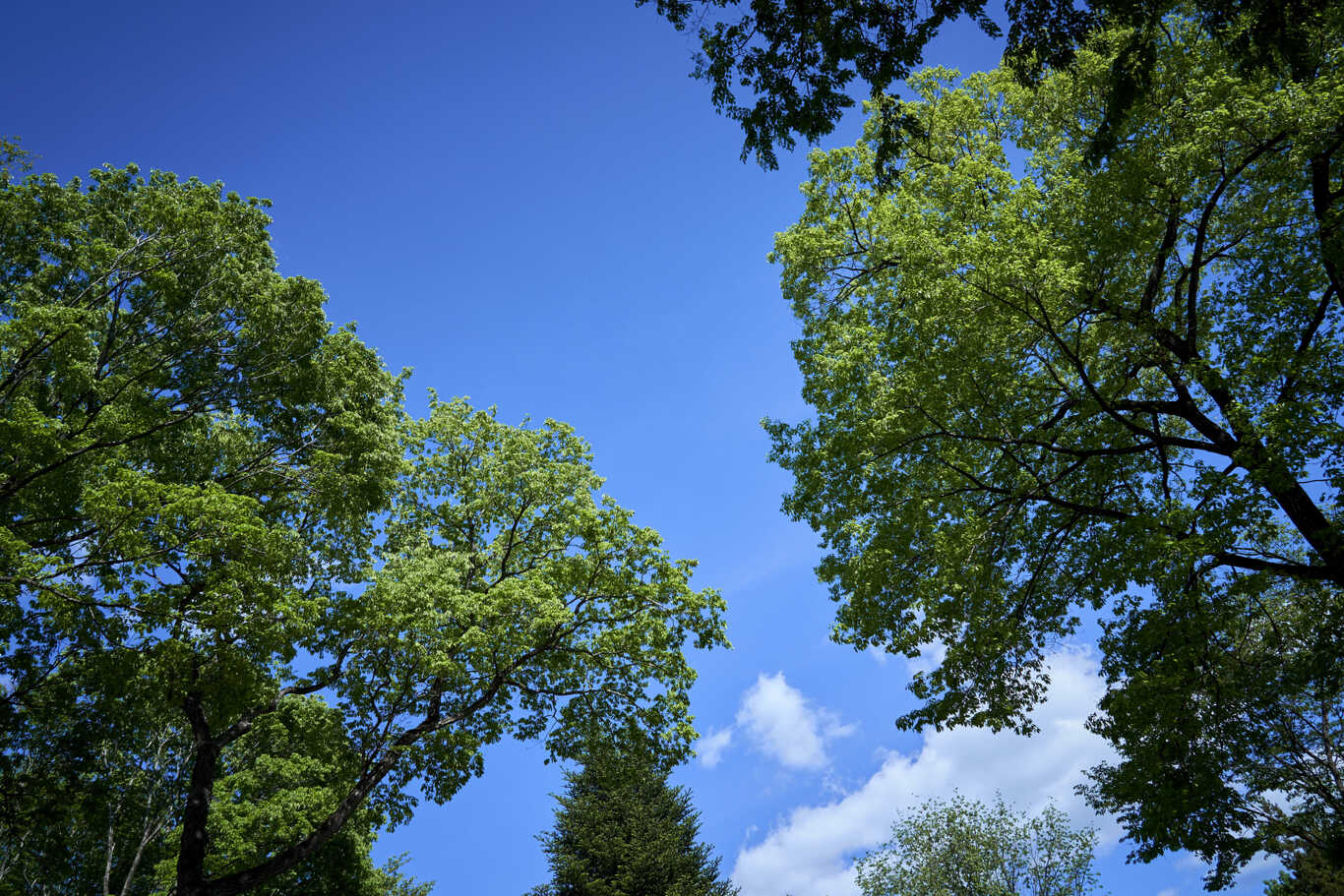 NASU SATOYAMA FIELD