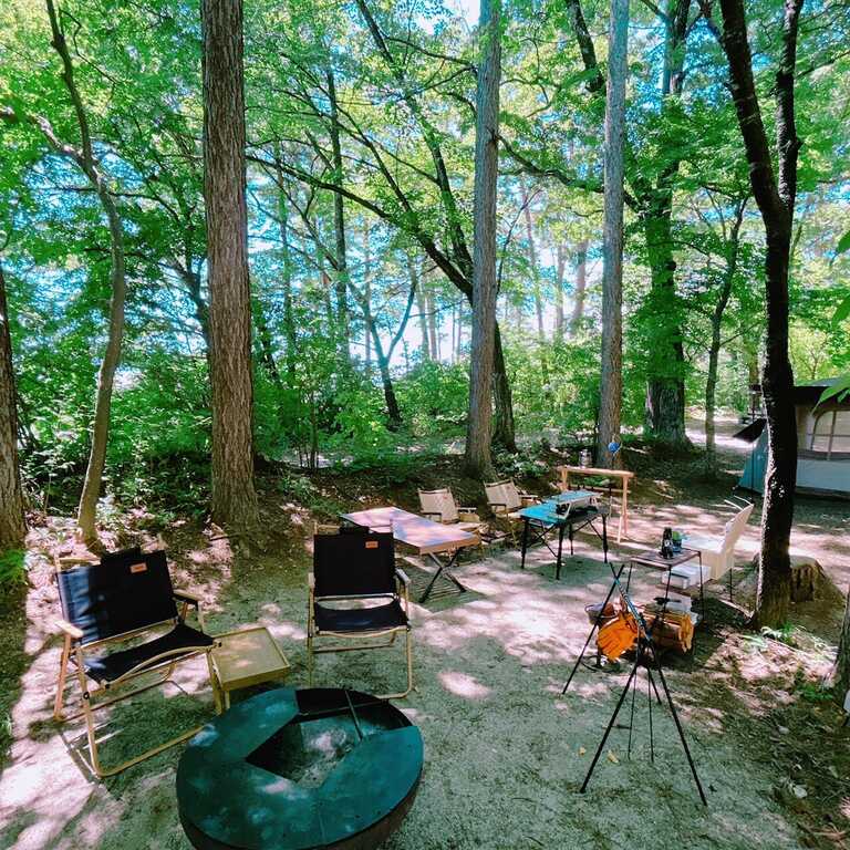 RetamaCampForest