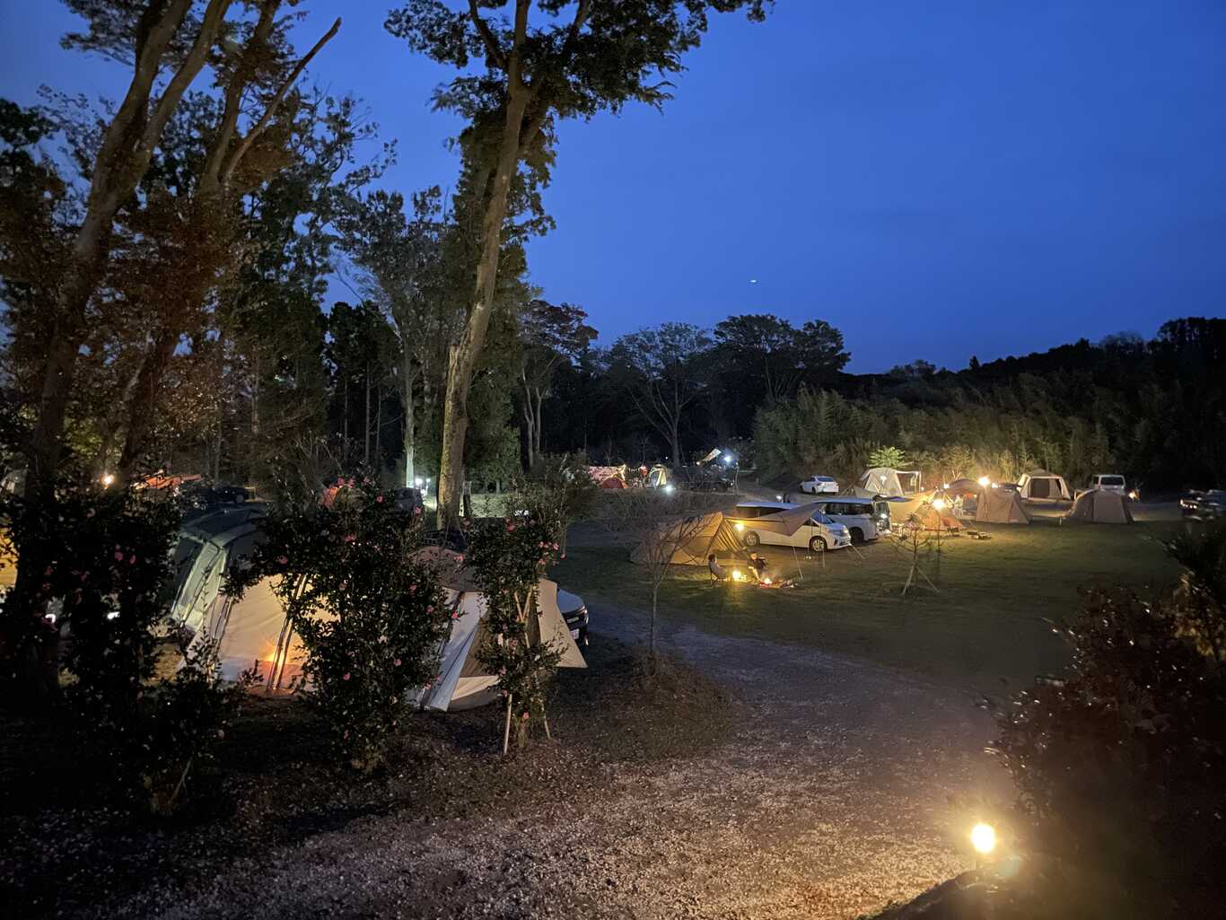 CAMPさくらの丘 photo 5