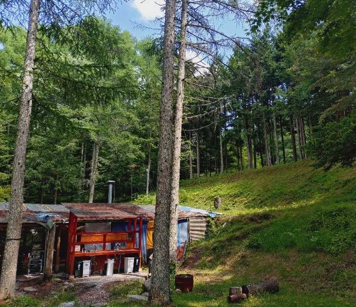 Larch Forest Village photo 3