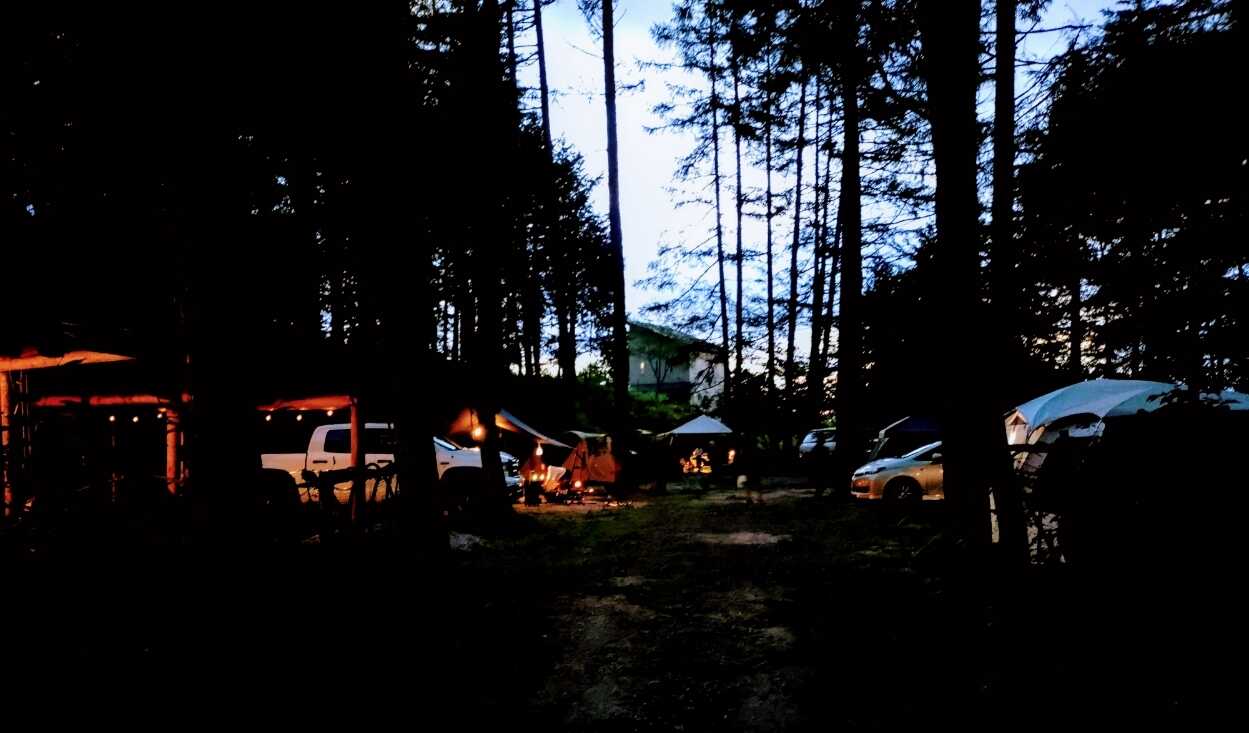 Larch Forest Village photo 4