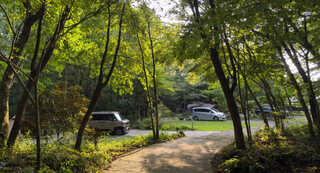 松の木 野あそび村