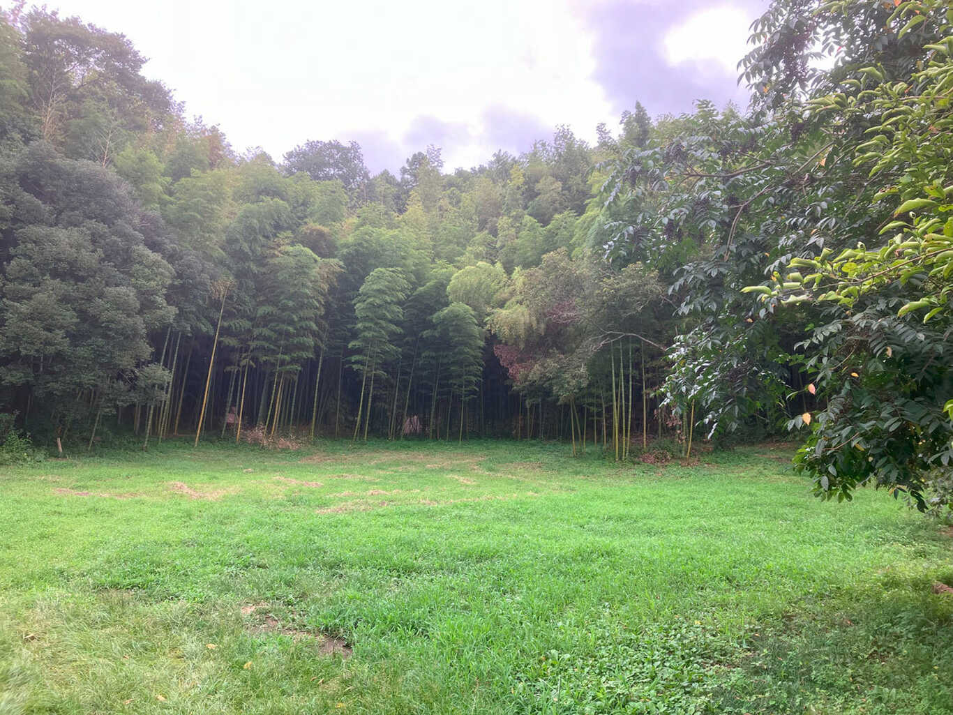 龍ケ崎やまびこ自然園キャンプ場 photo 3