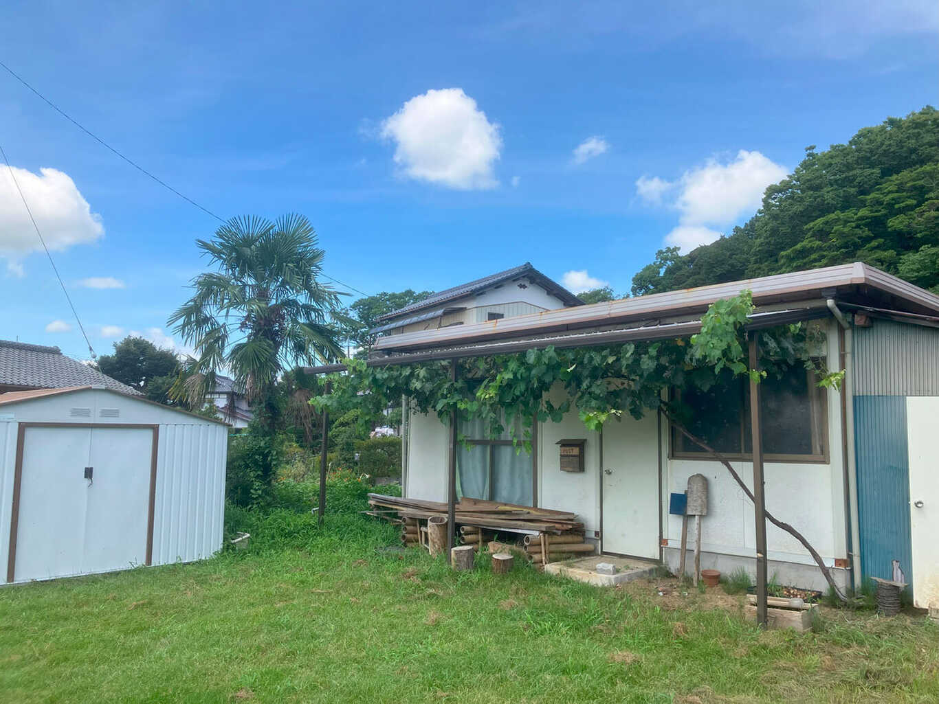 龍ケ崎やまびこ自然園キャンプ場 photo 4