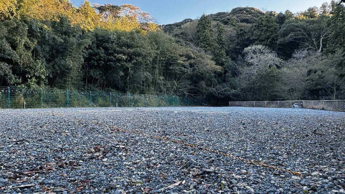 パンダキャンプ場 photo 5
