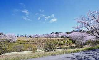 オートパークガーデン白山キャンピングプレイス