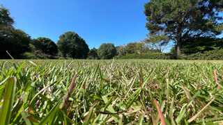 城南天然温泉かたるの森キャンプ場